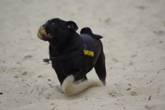 Yara Oktober en november 2008