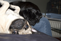 Yara en Zany Oktober en november 2008