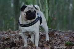 Yara en Zany December2008